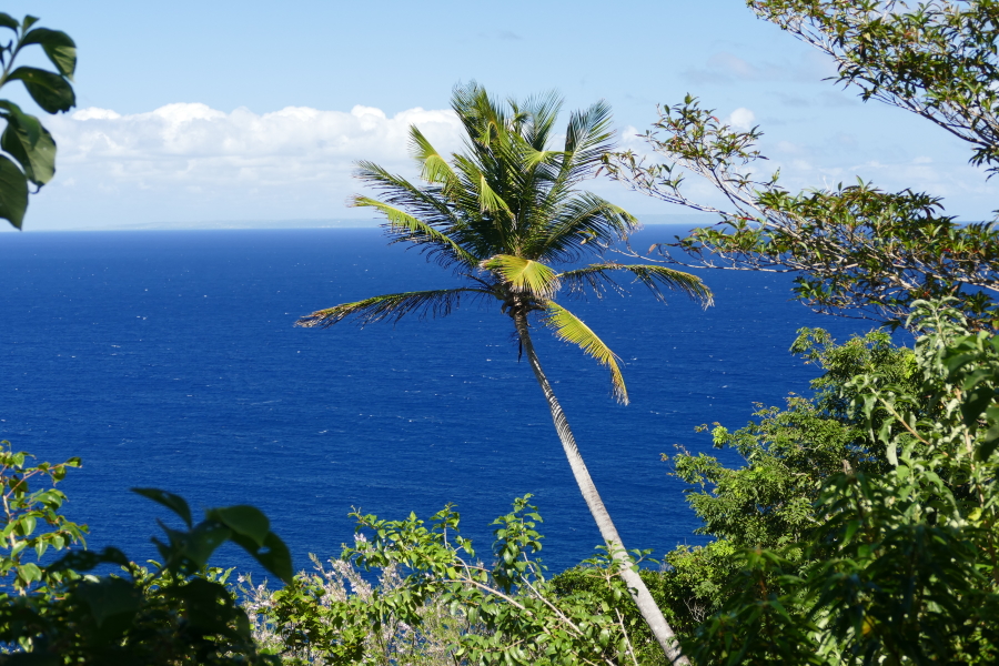 Impression von der Wanderung an Dominicas Nordküste