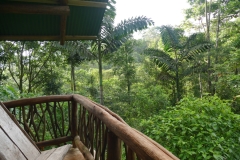 Costa Rica - La Tigra Rainforest Lodge
