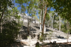 Mexiko - Ruine in Calakmul
