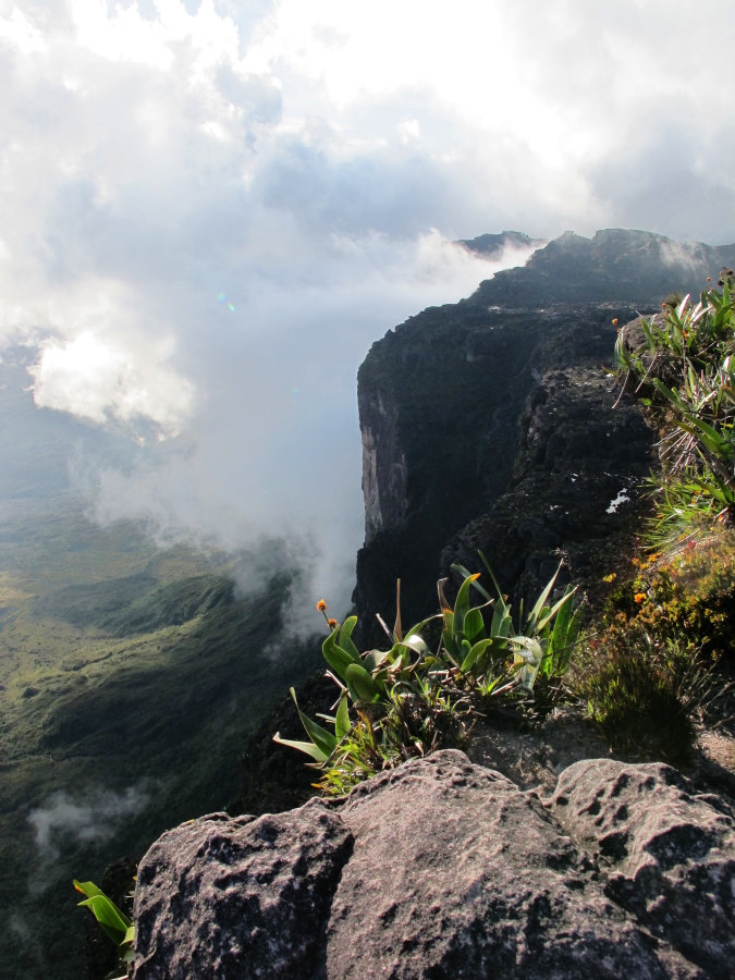 Blick vom Roraima-Tepui