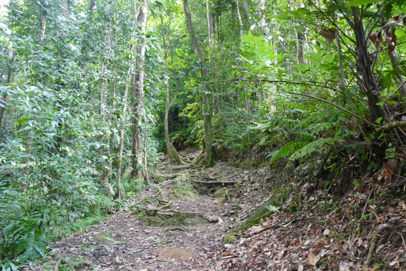 Jesuitenpfad - Impression von der Wanderung