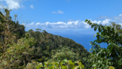 Blick hinüber nach Guadeloupe