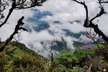 Am Tungurahua