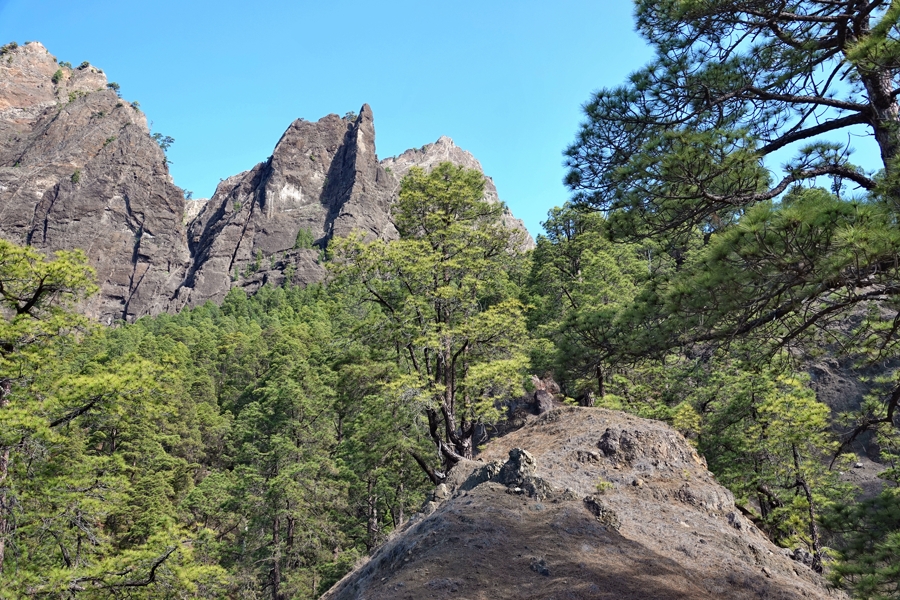 Auf der Wanderung durch die Caldera