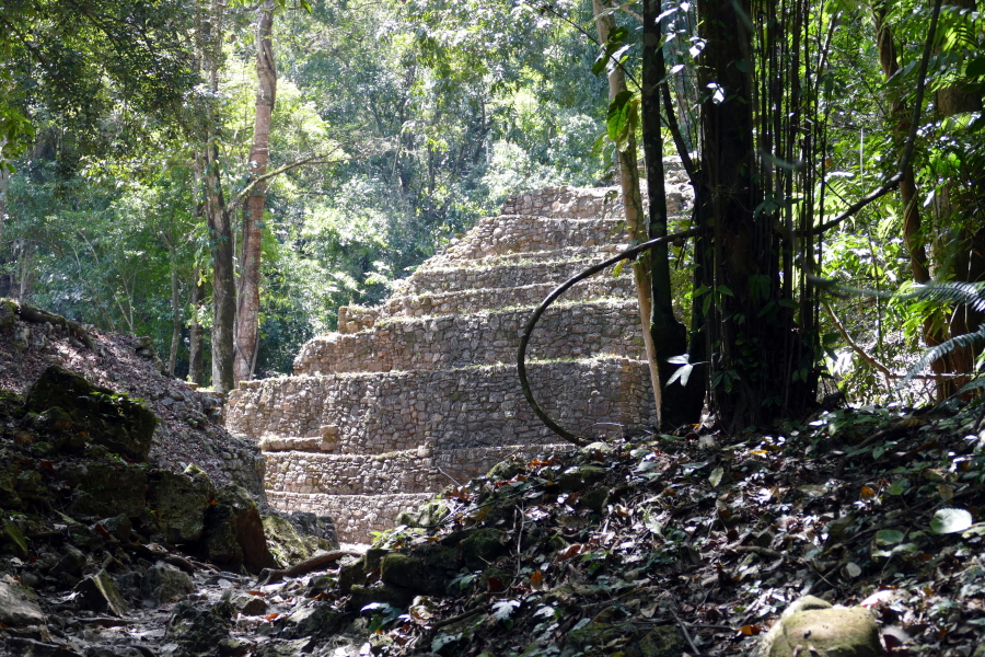 Maya-Stadt im Urwald