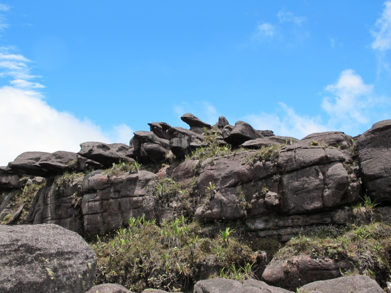 Bizarre Steine auf dem Roraima