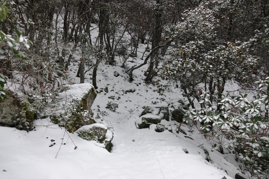 Im Troodos-Gebirge liegt noch viel Schnee